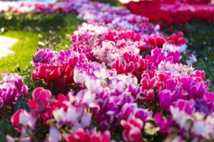 多品種の取り扱いで幅広いニーズに対応