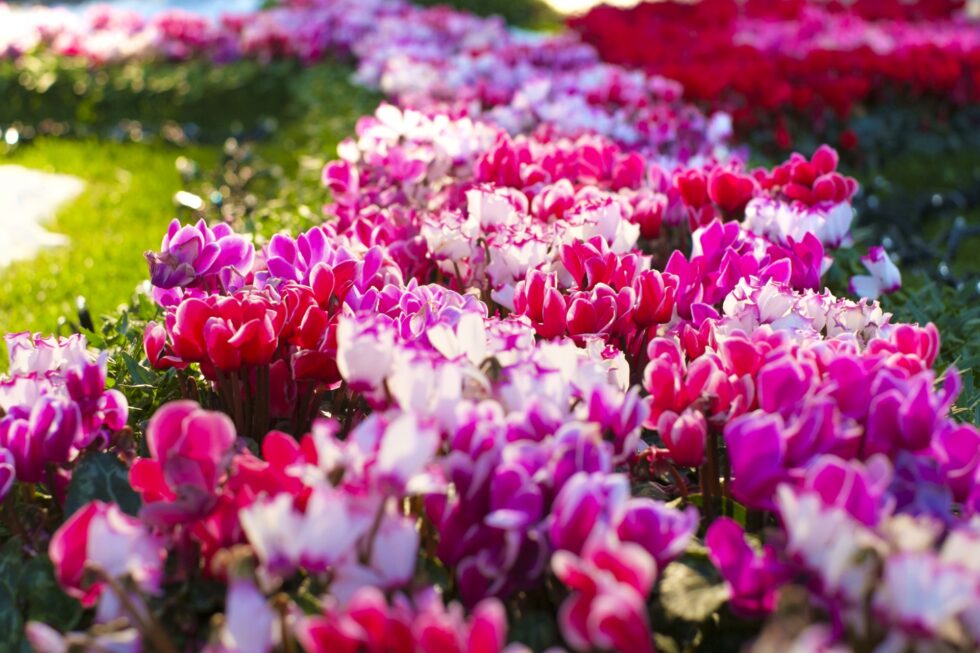 多品種の取り扱いで幅広いニーズに対応