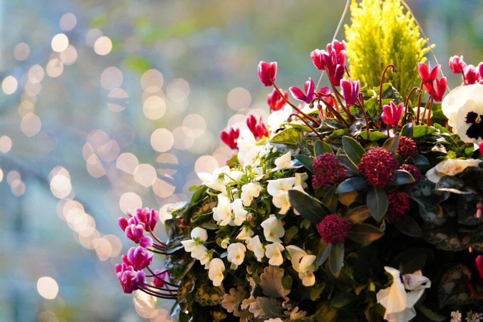 小売店舗のディスプレイ用装飾