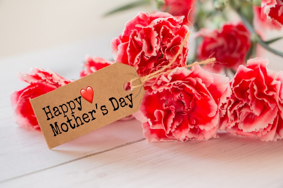 母の日にカーネーション