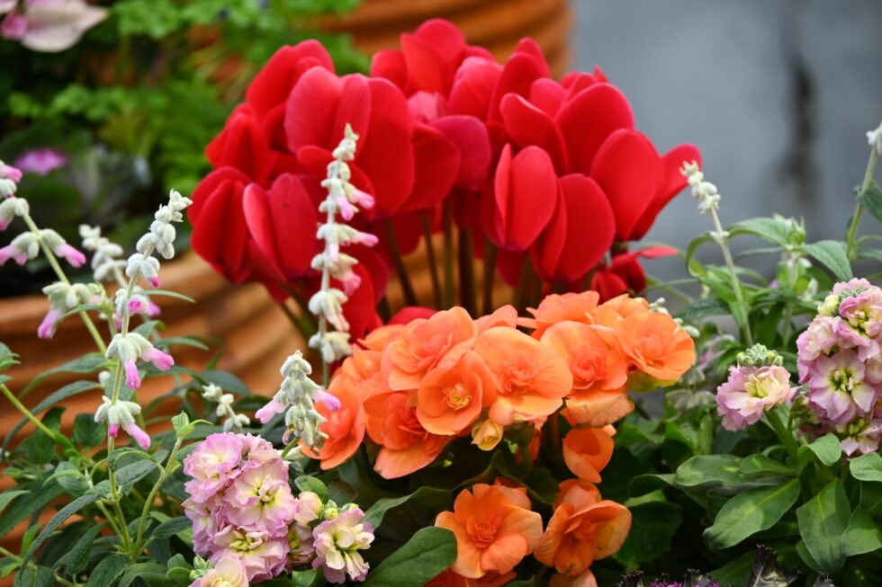 飲食店・カフェの季節演出