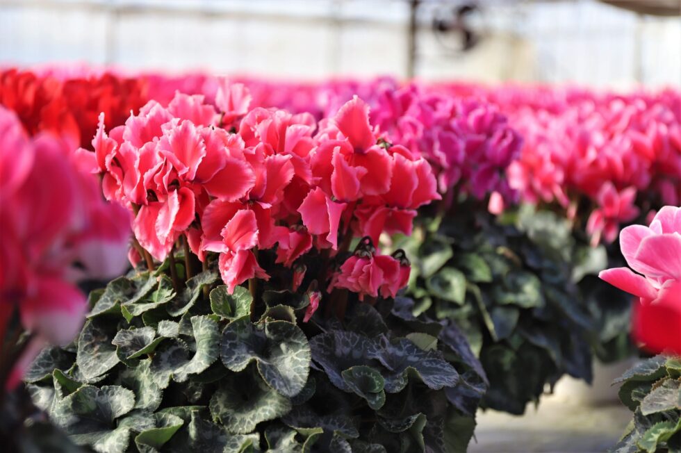 まとまった数量のご注文にも柔軟に対応