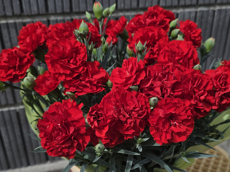 カンタービレ