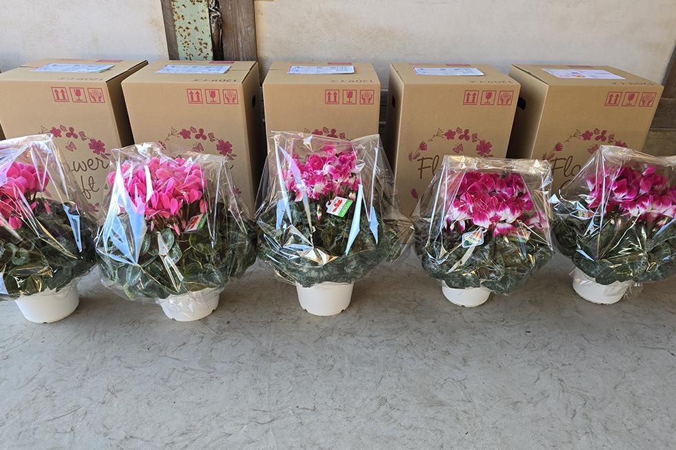 生産者直送だからこそ届けられる品質