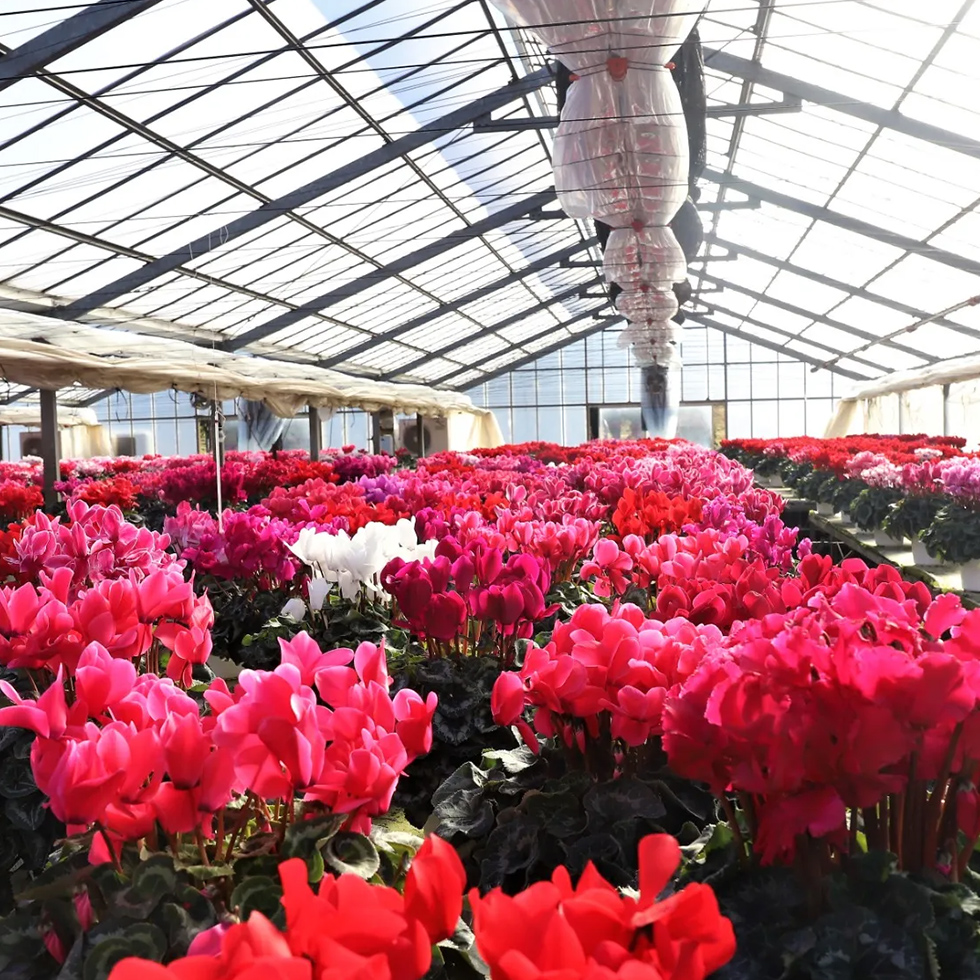 農園責任者挨拶